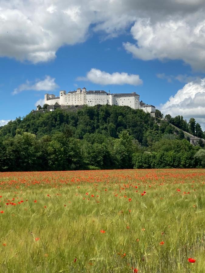 Haus Haslach Elsbethen Екстер'єр фото